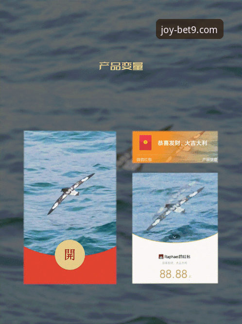 bet9登录平台实时动态安全性深度评测：技术架构与防护机制详解