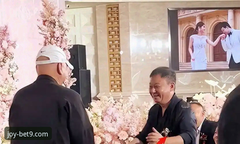 bet9登录平台综合详解：网址体验与创新玩法探索